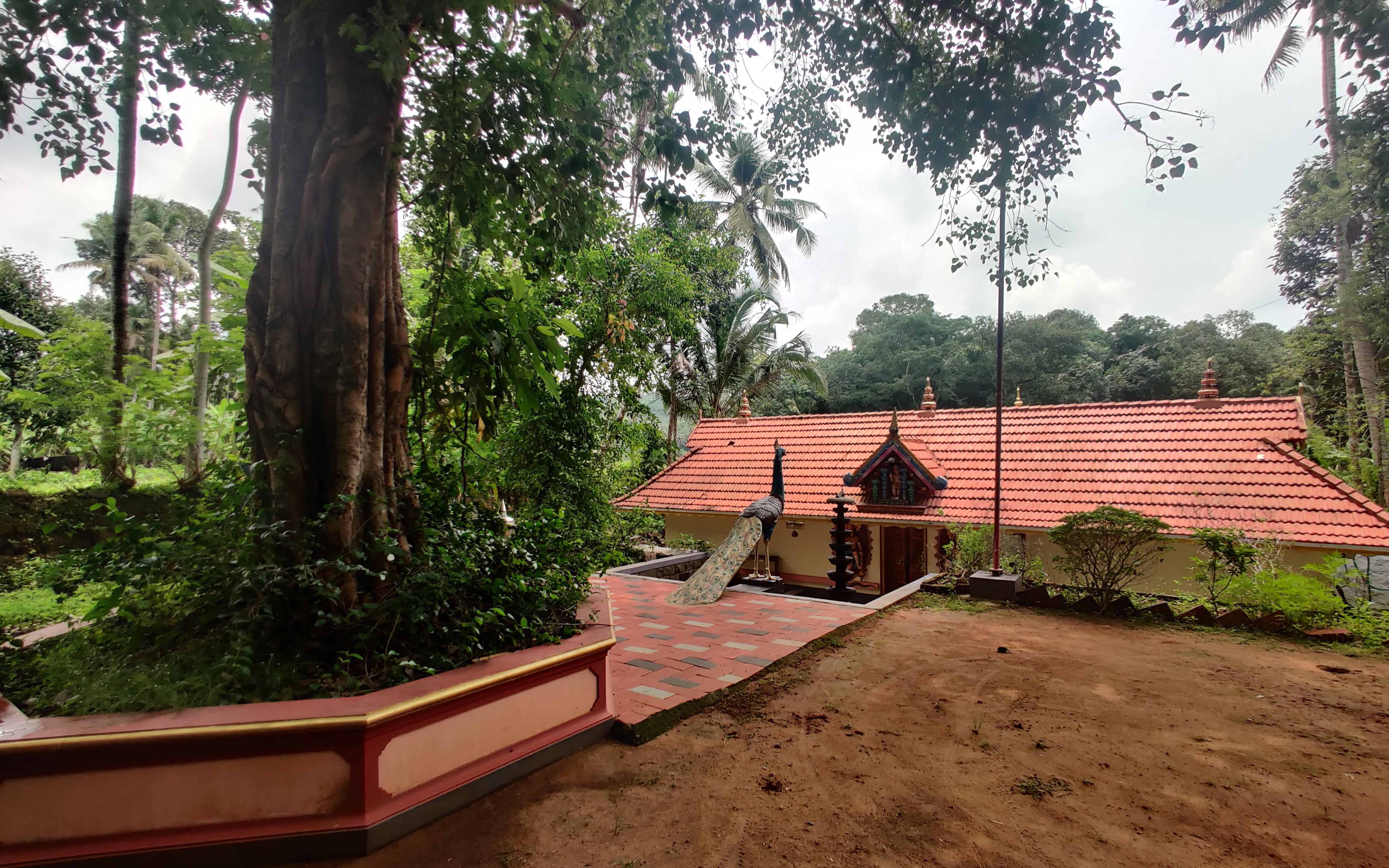 Temple Cover