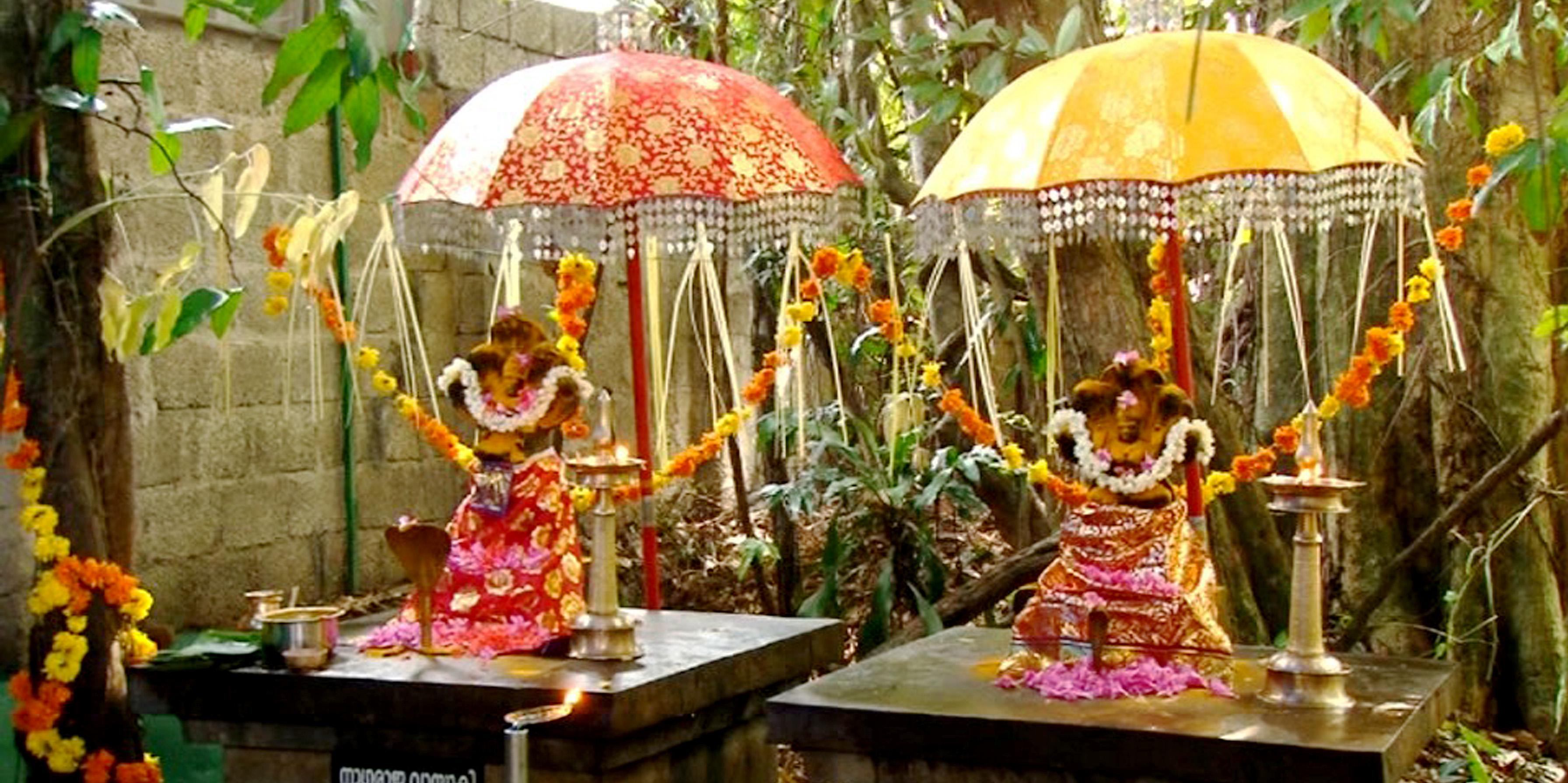 Temple Cover