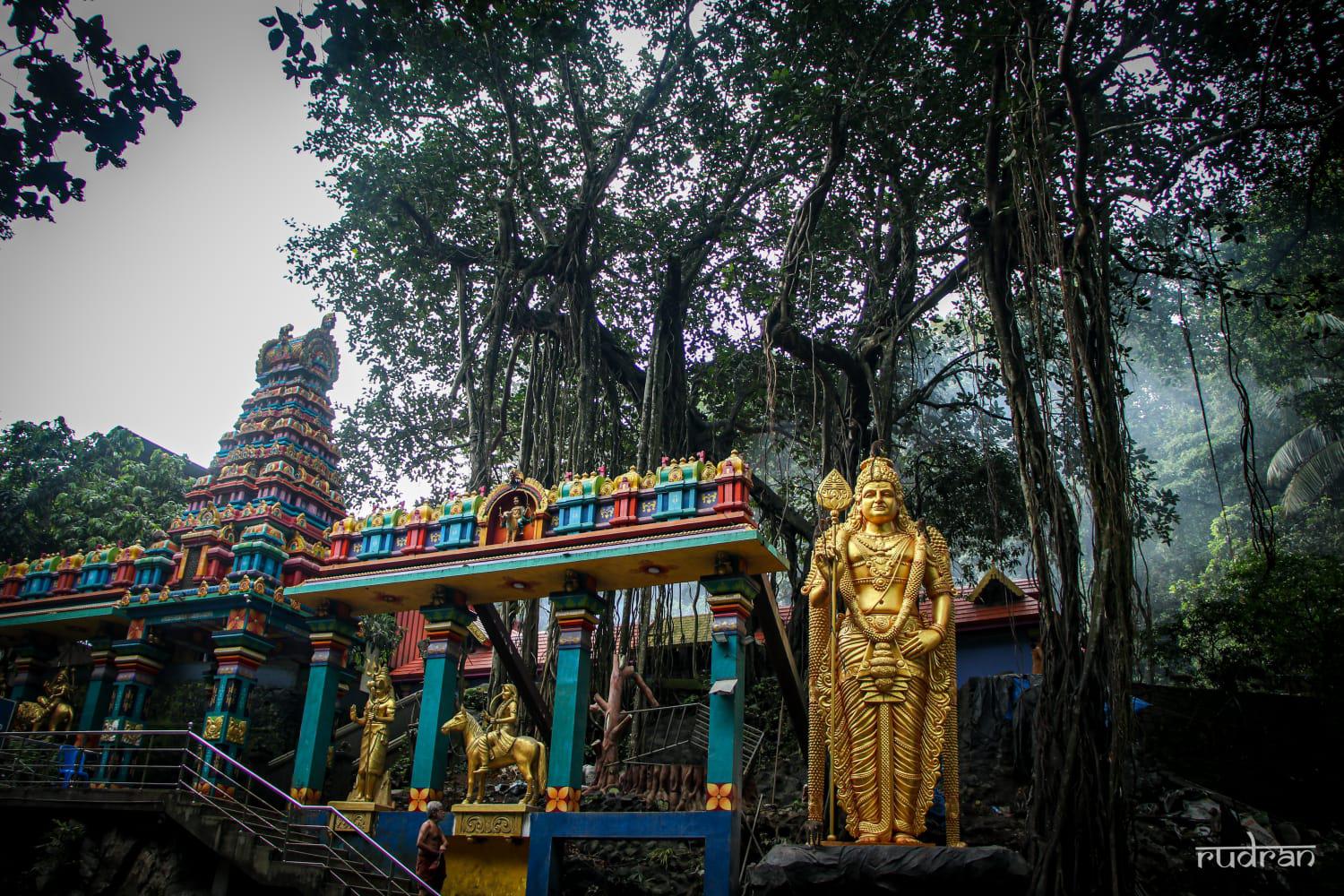 Temple Cover