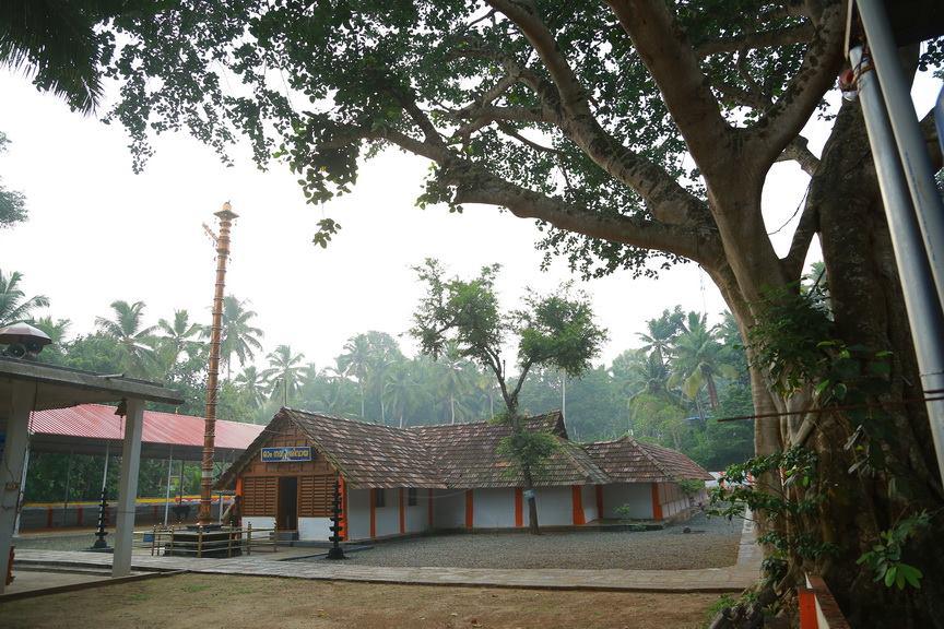 Temple Cover